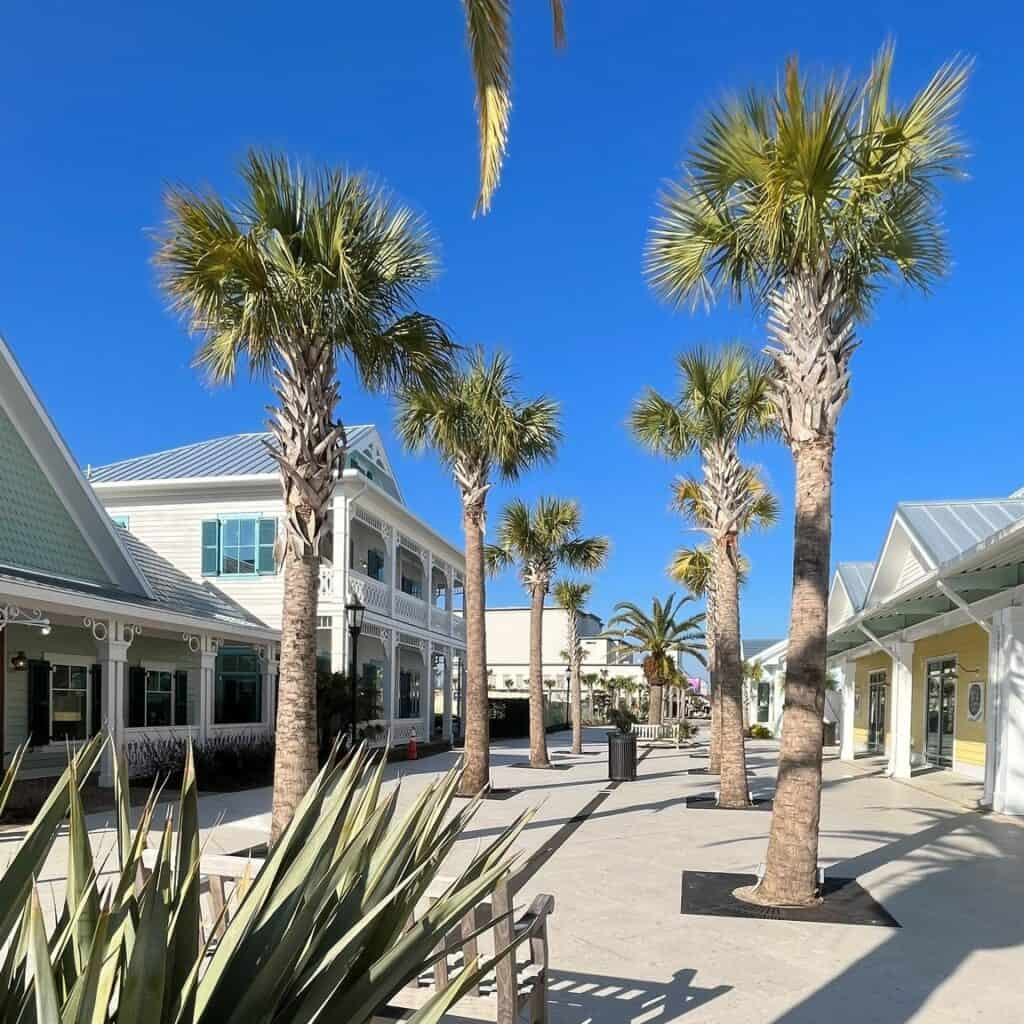 425331374_790954469737318_2432248238876540114_n-1024x1024